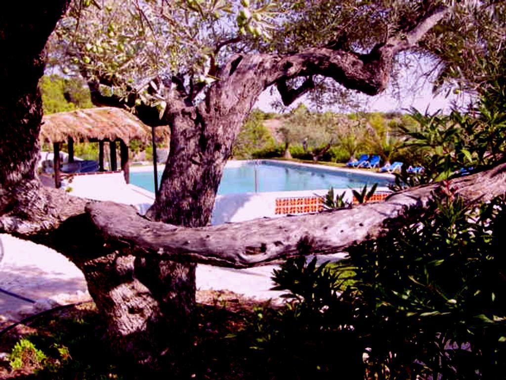The Sea Garden Hotel L'Ampolla Exterior photo